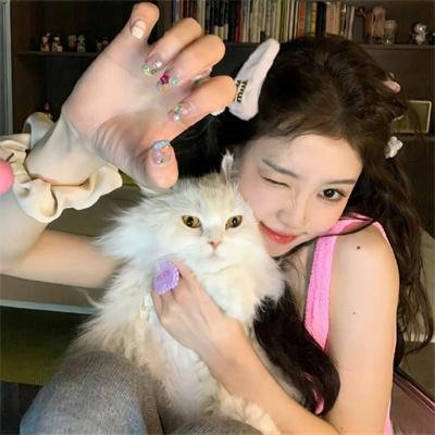 竞选风云